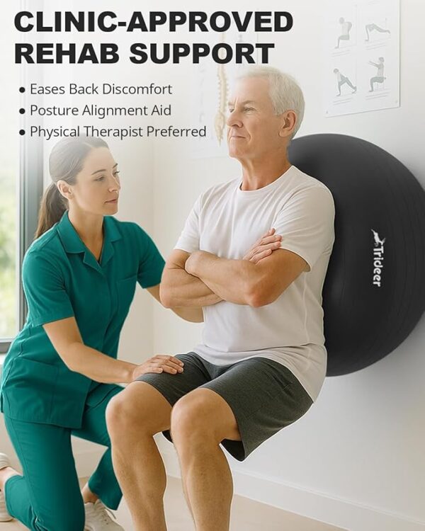 Trideer Extra Thick Yoga Ball Exercise Ball, 5 Sizes Gym Ball, Heavy Duty Ball Chair for Balance, Stability, Pregnancy, Quick Pump Included - Image 4